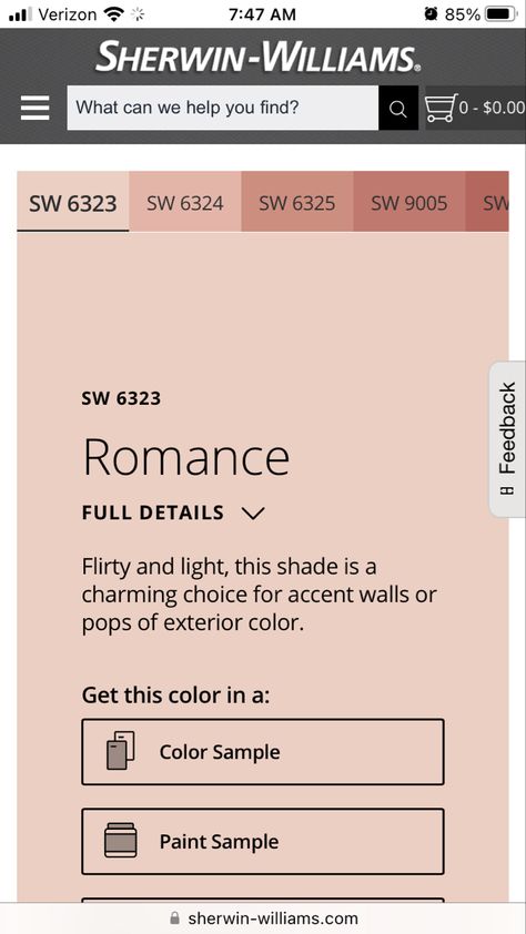 Sw Romance Paint, Sherwin Williams Romance Paint, Romance Sherwin Williams, Romance Paint Color, Sherman Williams, Red Paint Colors, Sherwin Williams Paint Colors, Paint Projects, Floor Colors