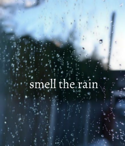 Smell the rain quotes rain water outdoors window wet smell Rain Quotes, Smell Of Rain, I Love Rain, Drops Of Water, Rain Storm, Love Rain, Singing In The Rain, Rainy Night, No Rain