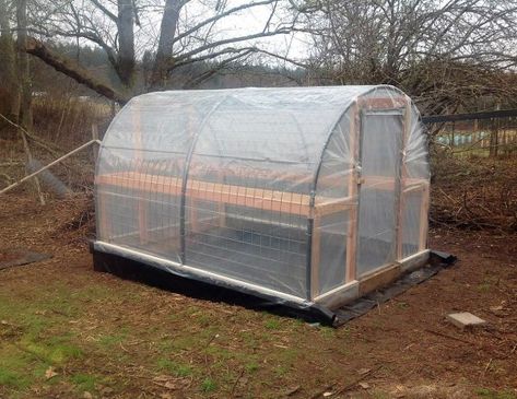 Double Wall Hoop House – Tinker's Blessing Garden Hoop House, Hoop House Greenhouse, Cattle Panel Greenhouse, House Greenhouse, Hoop House, Cattle Panels, Diy Greenhouse Plans, House Background, Diy Tent