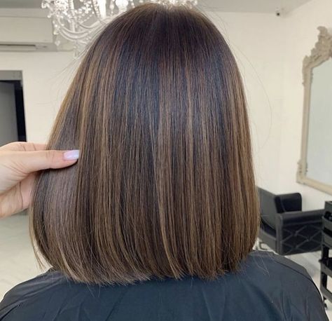 Short Hair Highlights, Dark Hair With Highlights, Hair Color Light Brown, Brown Hair Balayage, Light Hair Color, Shot Hair Styles, Short Hair Balayage, Short Hair Haircuts, Hair Color Balayage