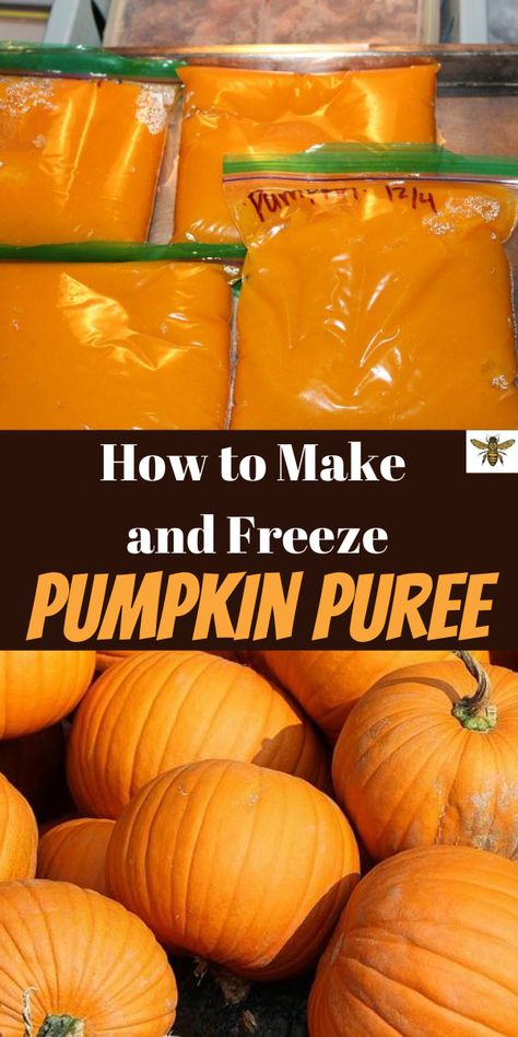 Freeze Pumpkin Puree, Freeze Pumpkin, Fresh Pumpkin Recipes, Pumpkin Puree Recipes, Fall Recipes Pumpkin, Recipes Pumpkin, Frozen Pumpkin, Fresh Pumpkin, Homemade Pumpkin Puree