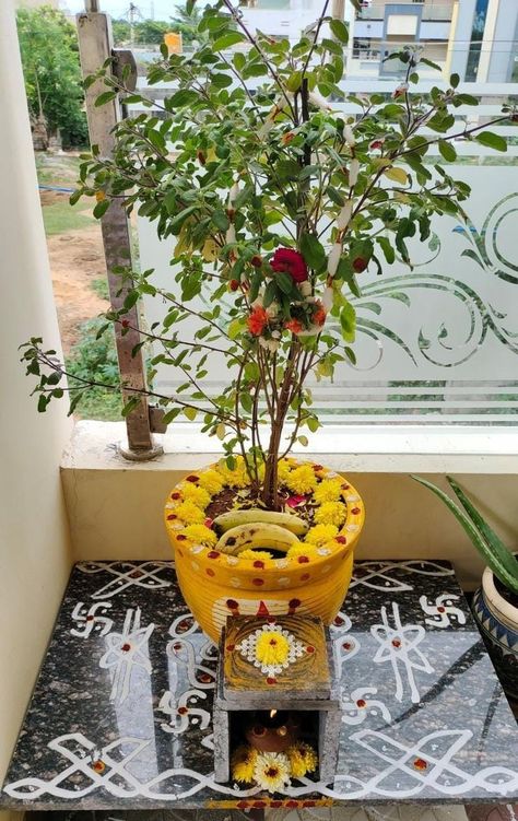 Tulasi Pot Designs Painting, Thulasi Plant Decoration, Thulasi Plant, Tulasi Plant, Tulsi Pot, Tulsi Plant, Indian Room Decor, Rangoli Side Designs, Temple Decor