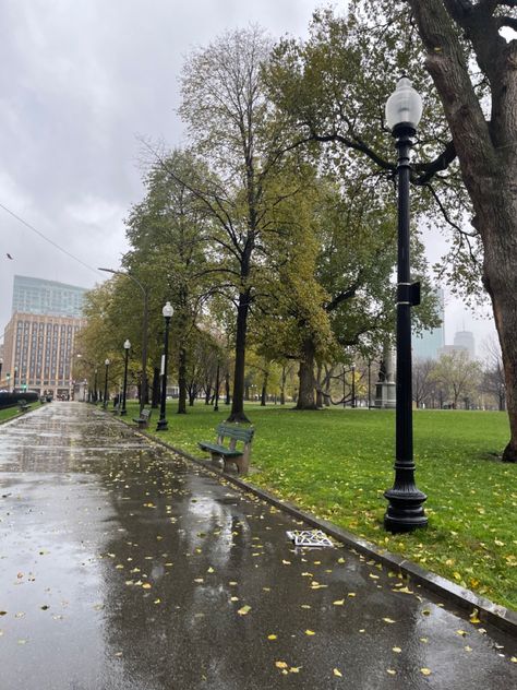 beautiful rainy day #aesthetic #rain #tree #rainy #green #greenaesthetics #college Rainy College Aesthetic, Beautiful Rainy Day, Boston Commons, Aesthetic Rain, Rain Tree, Cozy Rainy Day, Rain Aesthetic, Rainy Day Aesthetic, Day Aesthetic