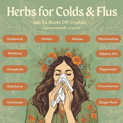 🌿 Herbs for Colds & Flus 🌿 It’s that time of year & there seems to be a few things going around. Incorporating herbal teas into your healing can make a big difference in relieving symptoms & boosting the immune system. We stock all of the following herbs in store: Echinacea: Immunity booster, aids in fighting infections, shortens duration of common cold & flu, reduces sore throat, cough & fever. Elderberry: Detoxifying, anti-inflammatory, aids in reducing symptoms of fever, cough, cold & ... Herbs For Nasal Congestion, How To Heal Your Immune System, Herbs For Fever, Herbs For Throat, At Home Cold Remedies, Herbs For Colds, Herbal Remedies Recipes, Eco Life, Slippery Elm