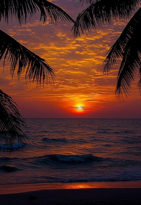 Amazing Sunsets, Sunset Wallpaper, Beautiful Sunrise, Sunset Pictures, Beautiful Sky, Beach Scenes, Beautiful Sunset, Beautiful Photography, Amazing Nature