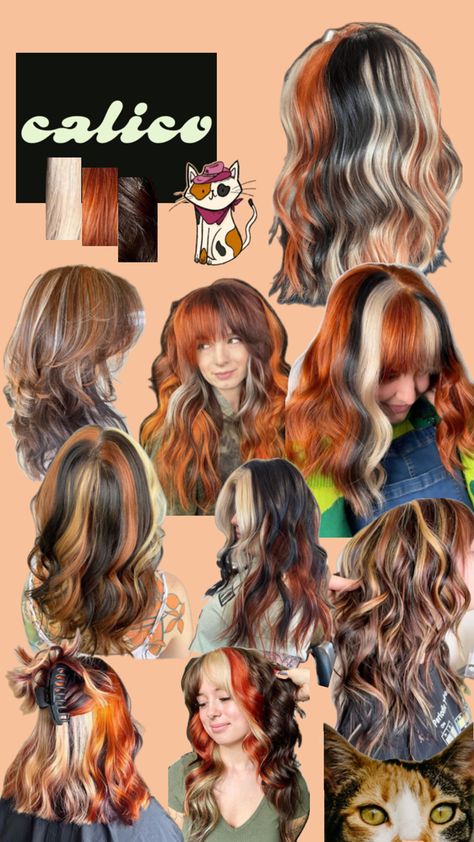 #calicohair #hairinspo #calicohairinspo #hair #calicocat #blonde #brunette #red Hair Dye Ideas Ginger, Colour Block Hair, Calico Hair Color, Rory Gilmore Hair, Calico Cat Hair, Shortish Hair, Calico Hair, Color Block Hair, Cool Hair Designs