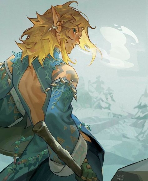 Totk Link, Zelda Fanart, Zelda Tears Of The Kingdom, Zelda Botw, Legends Of Zelda, Tears Of The Kingdom, Link Zelda, Zelda Breath Of The Wild, Legend Of Zelda Breath