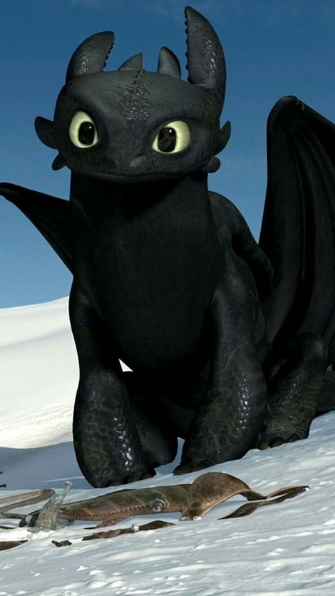 How To Train A Dragon, Toothless Wallpaper, Cute Toothless, Toothless And Stitch, Night Fury Dragon, Dragon Wallpaper Iphone, Toothless Dragon, Dragon Memes, Train Dragon