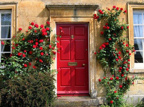 Red Door House, Elizabeth Arden Red Door, Red Front Door, Outside Decor, Door Inspiration, Yellow Houses, Front Door Colors, Rose Pictures, Front Porches