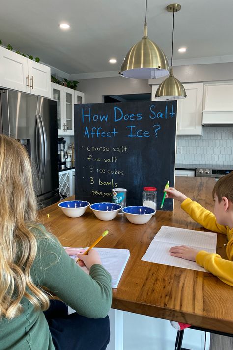 How Does Salt Affect Ice? A Simple Science Experiment – Thoughtfully Sustainable Salt Alternatives, Iodized Salt, Simple Science, Easy Science Experiments, Water Molecule, Coarse Salt, Table Salt, Easy Science, Science Experiment