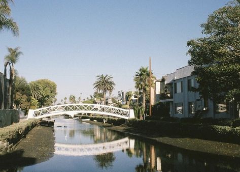 Venice Canal , California Venice Canals California, Venice Canals, Film Photography, Venice, Angeles, California, Angel, Film, Photography