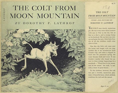 The colt from Moon mountain. - NYPL Digital Collections Dorothy Lathrop, Unicorn Aesthetic, Mythical Forest, Moon Mountain, Digital Gallery, Last Unicorn, The Last Unicorn, Unicorn Art, Vintage Illustrations