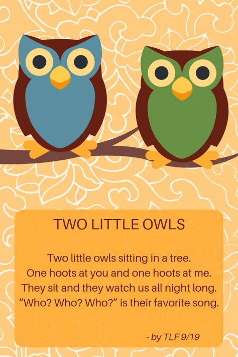 Use this simple rhyme for an owl storytime. Owl Poems For Preschool, Owl Theme Preschool Activities, Owl Songs For Preschool, Owl Lesson Plans For Preschool, November Storytime Ideas, Owl Activities For Toddlers, Christmas Fingerplays, Owl Activities For Preschool, Rhyming Poems For Kids