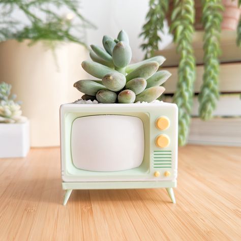 📺 Retro TV Succulent Planter  This cute lemon lime-colored succulent planter is a unique housewarming gift for plant lovers--or a great addition to your own houseplant collection. It makes a cute desk accessory or is right at home on a sunny bookshelf, whether you're into funky retro decor, a cozy maximalist aesthetic, or even have a more minimalist take on things. As longtime plant parents, we had to make a planter that ticked all the boxes:  🙌 a planter with drainage  🫗 a perfect-fit drip t Cutest Home Decor, Quirky Plant Pots, Decorative Plants Indoor, Colorful Funky Decor, Funky Retro Decor, Cute Things To 3d Print, 3d Print Decor, Fairy Bedroom Aesthetic, Barbies Dreamhouse