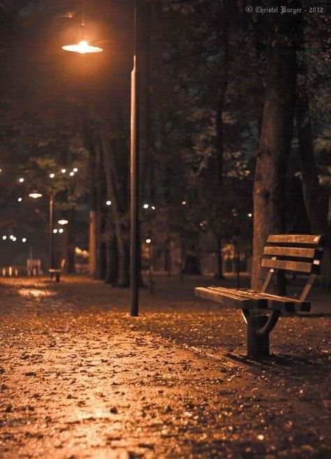 Bench At Night, Europe Street, October Country, Peaceful Night, Minimal Lighting, Alone Photography, Map Wallpaper, Cool Backgrounds Wallpapers, New Background Images