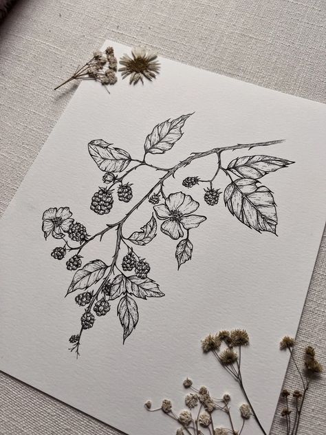 Blackberry Branch - Etsy Blackberry Vine Drawing, Wild Berries Tattoo, Blackberry Tattoo Design, Blackberry Bramble Tattoo, Tattoo Ideas Female Nature, Fruit Branch Tattoo, Berry Branch Tattoo, Fruit Vine Tattoo, Blackberry Bush Tattoo