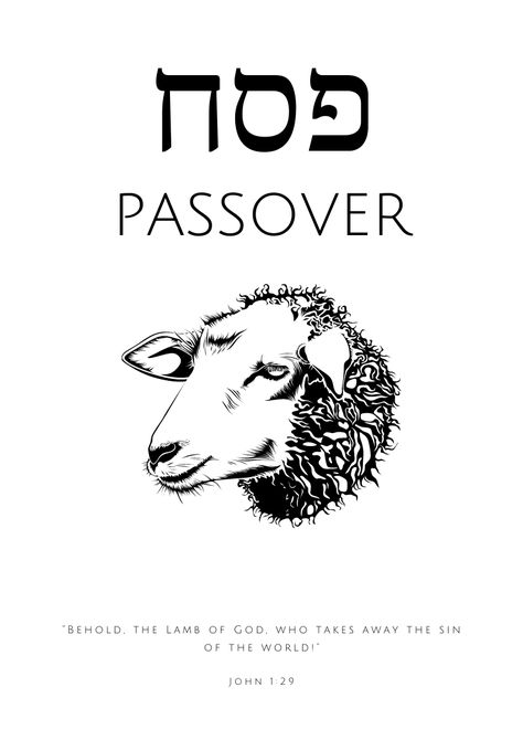 Yeshua In Hebrew, Behold The Lamb Of God, Leviticus 23, Passover Lamb, Bible Trivia, Printable Scripture Art, The Lamb Of God, English To Hebrew, Jewish Festivals