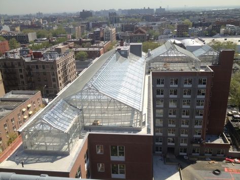 Nexus Greenhouse Systems :: Markets :: Roof Top Greenhouses Greenhouse Farming, Commercial Greenhouse, The Bronx New York, Roof Extension, Urban Agriculture, Greenhouse Plans, Diy Greenhouse, Rooftop Deck, Greenhouse Gardening