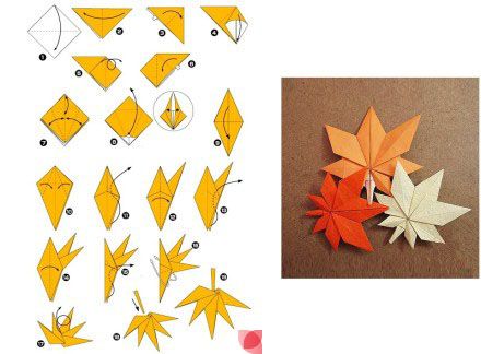 Origami leaves (maple tree) Origami Maple Leaf, Origami Leaves, Origami Diagrams, Cute Origami, Origami And Kirigami, Origami Patterns, Folding Origami, Instruções Origami, Origami Paper Art