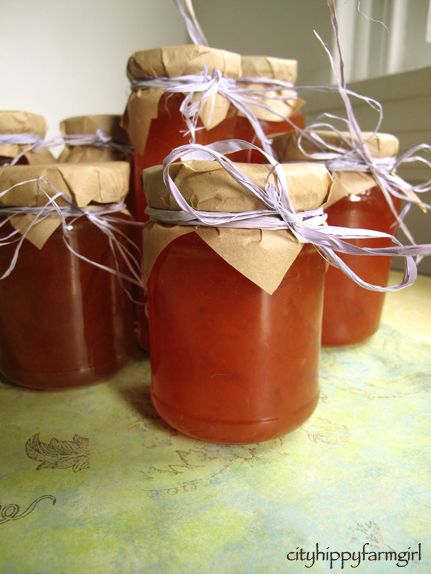 nectarine Jam.. Made Nectarine Jelly Recipe, Decorate Jars, Nectarine Jam, Peach Punch, Nectarine Recipes, Roll With The Punches, Sauces Recipes, Canning 101, Plum Recipes