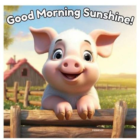 Pig Stuff, Funny Animal Quotes, Animal Quotes, Funny Animal, Pigs, Funny Animals, Good Morning, Funny, Quotes