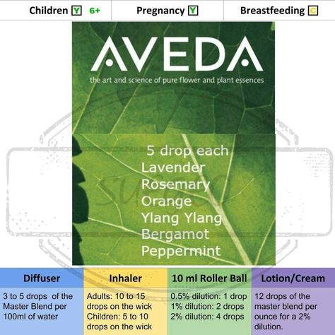 Aveda Essential Oil Blend Diffuser Scents, Eo Blends, Diffuser Oils, Doterra Oil, Aromatherapy Recipes, Essential Oil Diffuser Blends Recipes, Perfume Recipes, Making Essential Oils, Diffuser Oil