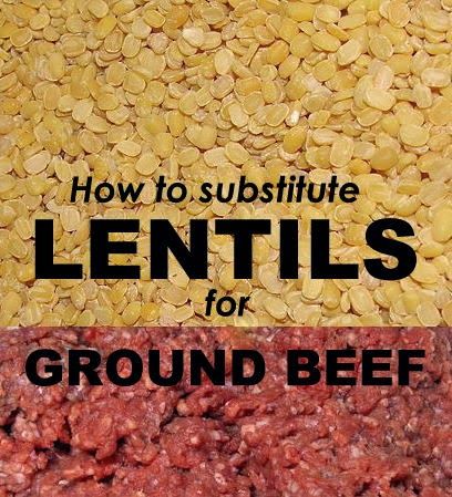 How to substitute lentils for ground beef Lentil Recipes, Seitan, Meatless Meals, Meat Free, Vegan Life, Vegan Eating, Vegan Dishes, Base Foods, Going Vegan