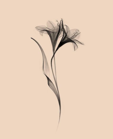 Flowers Blowing In The Wind Tattoo, Unique Fun Tattoos, X Ray Tattoo Flower, X Ray Lily Tattoo, Xray Lily Tattoo, X Ray Tattoo Ideas, Tattoo Of Lily Flower, Saranghae Tattoo, Black And White Watercolor Tattoo