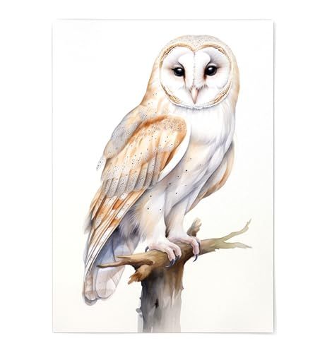 Barn Owl Print - Owl Wall Decor - Owl Print Poster Unframed - Watercolor Owl Print - Cute Owl Portrait - Owl Artwork Illustration (5x7) Owl Artwork Illustrations, Owl Portrait, Bald Eagle Art, Eastern Screech Owl, Spotted Owl, Owl Wall Decor, Owl Artwork, Great Grey Owl, Screech Owl