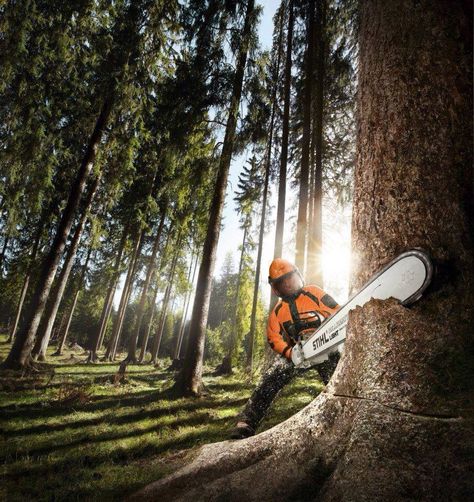 Arborist Climbing Trees, Arborist Climbing, Tree Arborist, Tree Lopping, Corporate Portraits, Portraits Inspiration, Tree Surgeons, Logging Equipment, Environmental Portraits