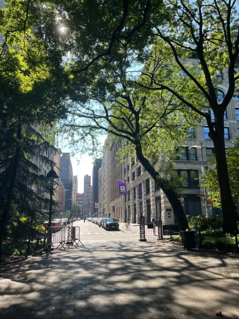 Nyu Campus Aesthetic, Nyu University, Nyu Campus, Washington Square Park Nyc, September Rain, College Core, Campus Aesthetic, Nyc Baby, Film Background