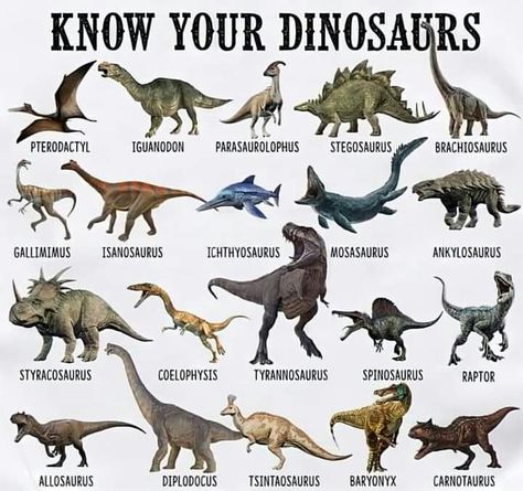 Type Of Dinosaurs, Carlotta Core, Dinosaurs Names And Pictures, Dinosaur Names, Giant Lizard, Dinosaur Train, Dinosaur Pictures, Dinosaur Activities, Tuff Tray