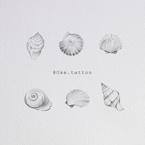 Realistic Seashell Tattoo, Wave And Seashell Tattoo, Seashell And Pearl Tattoo, Fine Line Conch Shell Tattoo, Moon Shell Tattoo, Mini Seashell Tattoo, Ocean Stamp Tattoo, Nautalis Shell Tattoo, Summer Inspired Tattoo