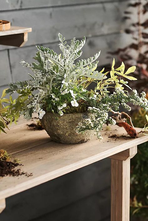 Gardening Supplies + Accessories | Terrain Planter Centerpiece Wedding, Plant Room Inspiration, Vegetable Garden Inspiration, Flowers For Table, Planters Flowers, Spring Planter, Porch Planters, Trough Planters, Antiquing Glaze