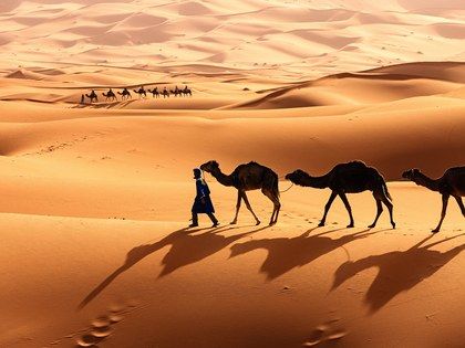 18 Photos That Will Make You Want to Visit Morocco - Condé Nast Traveler Morocco Tourism, Desert Biome, Morocco Itinerary, Dry Desert, Hot Desert, Morocco Tours, Western Sahara, Desert Tour, Visit Morocco