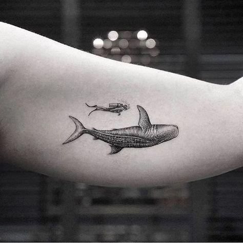 Shark Tattoo Meaning, Scuba Tattoo, Diving Tattoo, Whale Shark Tattoo, Dove Tattoos, Tattoo Minimal, Whale Tattoos, Shark Tattoo, Amazing Tattoos