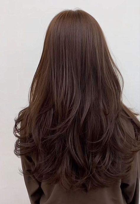 Long Curved Layers, Long Korean Layered Hair, Round Long Haircut, Long Layered Haircuts With Curtain Bangs Black Hair, Butterfly Layers Straight Hair, Long Hair Layers Unstyled, Blended Layers Long Hair, Haircut Ideas Long Layers, 90s Haircuts Long Brunette