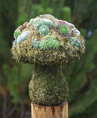 Mushroom SucculentTopiary Mushroom Projects, Garden Mushrooms, Topiary Garden, Garden Whimsy, Urban Gardening, Topiaries, Woodland Garden, Love Garden, Unique Gardens