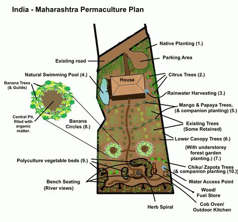 Case Study: Tropical Garden – EWSP Consultancy Tropical Permaculture Design, Tropical Food Garden, Tropical Vegetable Garden, Tropical Food Forest, Vege Garden Design, Desert Permaculture, Tropical Permaculture, Tropical Gardening, Money Building