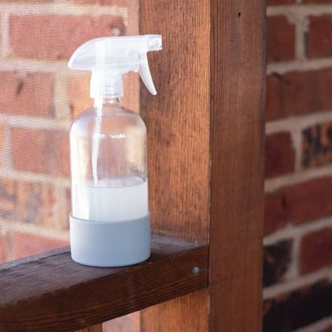 Homemade Fly Spray for Home - Homemade Chemical-Free Beauty Products, Natural House Cleaner Recipes, & Healthy Recipes – Our Oily House Homemade Fly Spray For Home, Fly Spray For Home, Natural House Cleaners, Homemade Fly Spray, Our Oily House, Bug Repellent Candles, Homemade Bug Repellent, Signs Of Bed Bugs, Bed Bug Spray