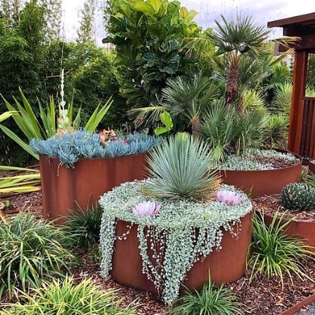 Container Water Gardens, Australian Native Garden, Landscaping Simple, House Landscaping, Steel Planters, Front House, Water Gardens, Rock Garden Landscaping, Native Garden