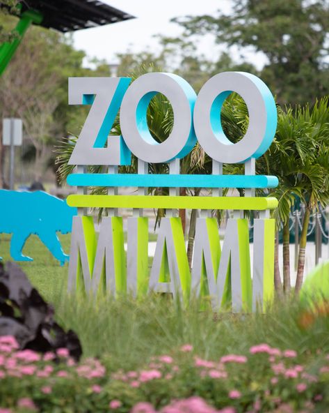 The Best of Miami Attractions, Tours & Entertainment 🎉💃 Miami Attractions, Zoo Day, Miami Nightlife, Bbq Night, Miami Travel, Miami Gardens, Key Biscayne, Downtown Miami, Safari Park