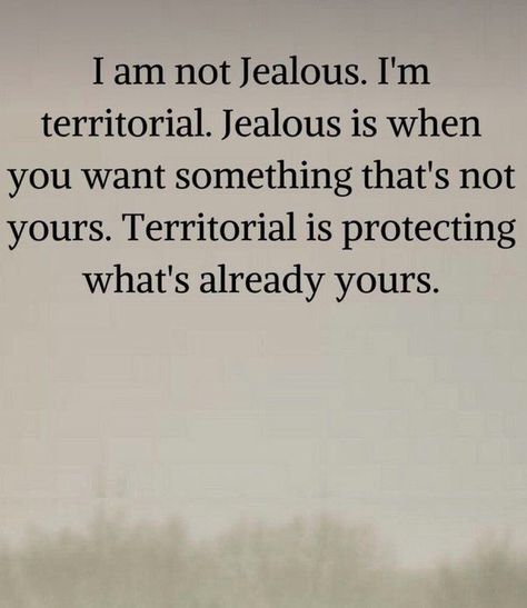 I Am Not Jealous #jealous #territorial I Am Not Jealous, Not Jealous, I Am Jealous, Aged To Perfection, This Man, For Life, To Learn, Love Quotes, Feelings