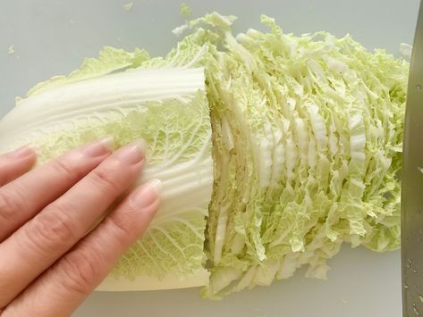 Making Sauerkraut Homemade, How To Make Sauerkraut From Cabbage, Food For Gut Health, Napa Cabbage Sauerkraut, Saurkraut Recipes Fermented, Fermented Napa Cabbage, Napa Cabbage Recipes, Fermented Cabbage Sauerkraut, Raw Cabbage