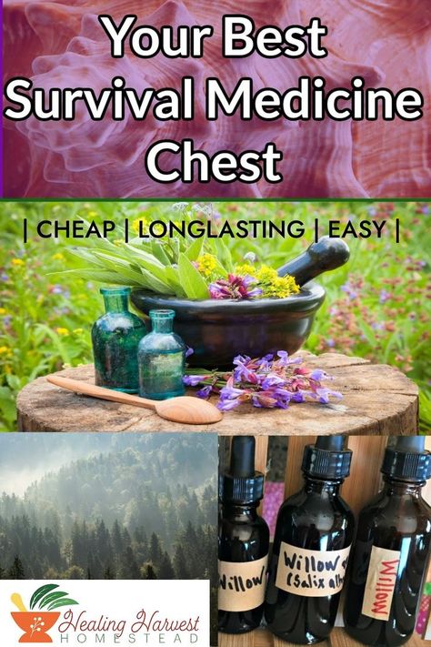 Everyone knows that they need to have a little food stored away for a rainy day, but what about your medications? Do you have those prepped and ready to go? Learn how I have my survival medicine chest ready and how you can too! Learn how you can be medically prepared with products that have unlimited shelf-life, minimal storage, and low cost. #preparedness #survivalism #SHTFpreparing #herbalism #pennypinchingprepper Medicine Chest, Living Skills, Homesteading Skills, Crazy Chicken Lady, Herbal Tea Blends, Being Prepared, Herbs Indoors, Emergency Prepping, Alternative Health