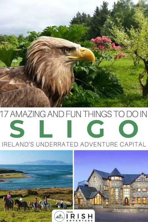 This Ireland’s underrated adventure capital is a real gem and a must for your Ireland travel itinerary. Here's all the best 17 amazing and fun things to do in Sligo. Plus where to stay, where to eat and the best places to visit and enjoy in Sligo such as surfing at Strandhill, horse riding at the beach, and more! You shouldn’t miss exploring Sligo in your Ireland getaway! | #beautifuldestinations #travel #sligoireland Ireland Road Trip Itinerary, Sligo Ireland, Ireland Road Trip, Dublin Travel, Irish Castles, Fun Places To Go, Ireland Travel, Best Places To Visit, Travel Bucket