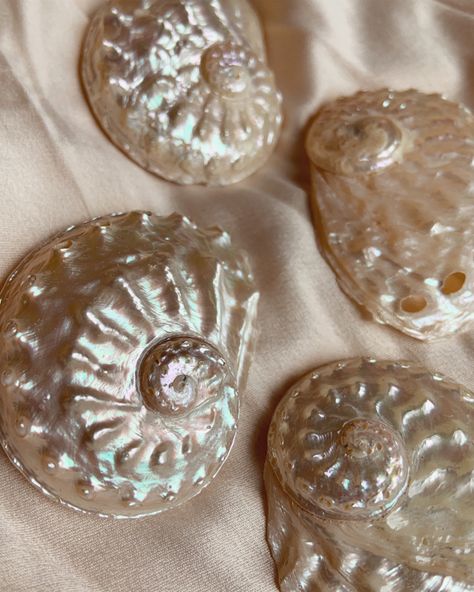 Shells Aesthetic, Aesthetic Pearls, Lady Aphrodite, Pearls Aesthetic, Pink Shells, Pearl Aesthetic, White Inspiration, Beachy Aesthetic, Mermaid Aesthetic