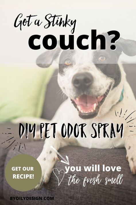 Essential Oil Couch Deodorizer, Essential Oil Couch Spray, Essential Oil Odor Eliminator Sprays, How To Get Pet Urine Smell Out Of Couch, Homemade Dog Deodorizing Spray, Furniture Deodorizer Pet Odors, How To Get Rid Of Dog Smell On Couch, How To Get Pet Smell Out Of Couch, Diy Pet Odor Eliminator Spray