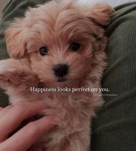 Dog Captions For Insta, Good Memories Quotes, Dog Instagram Captions, Quotes For Dp, Cute Dog Quotes, One Line Quotes, Insta Quotes, Positive Attitude Quotes, Insta Captions