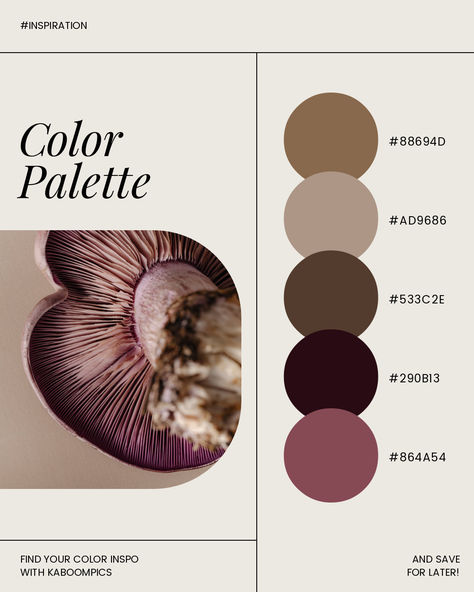 Kobo Clara Colour, Mushroom Color Palette, Wood Blewit, Mushroom Aesthetic, Trend 2025, Mushroom Color, Color Palette Inspiration, Chicago Apartment, Palette Inspiration